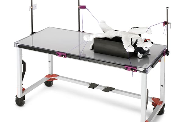 Podoblock XrayTableTop